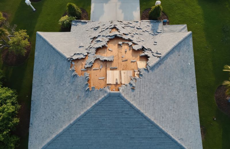 Damaged Roof Replacement detail